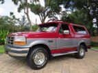 Thumbnail Photo 62 for 1994 Ford Bronco